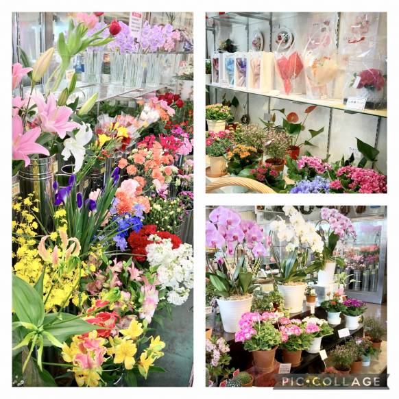 「フローリストボンマルセ」　（富山県富山市）の花屋店舗写真3
