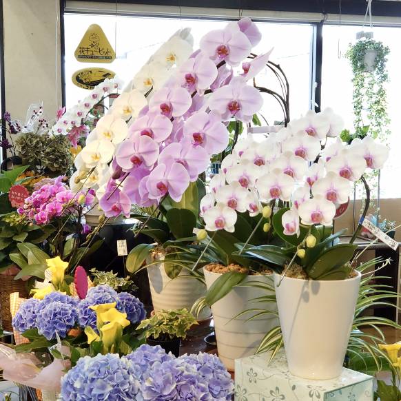 「フローリストボンマルセ」　（富山県富山市）の花屋店舗写真1