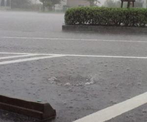 大雨です。｜「フローリストボンマルセ」　（富山県富山市の花キューピット加盟店 花屋）のブログ