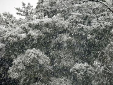 雪の華・・・｜「フローリストボンマルセ」　（富山県富山市の花キューピット加盟店 花屋）のブログ