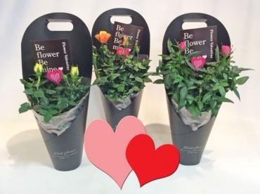 Flower Valentaine!!｜「フローリストボンマルセ」　（富山県富山市の花キューピット加盟店 花屋）のブログ